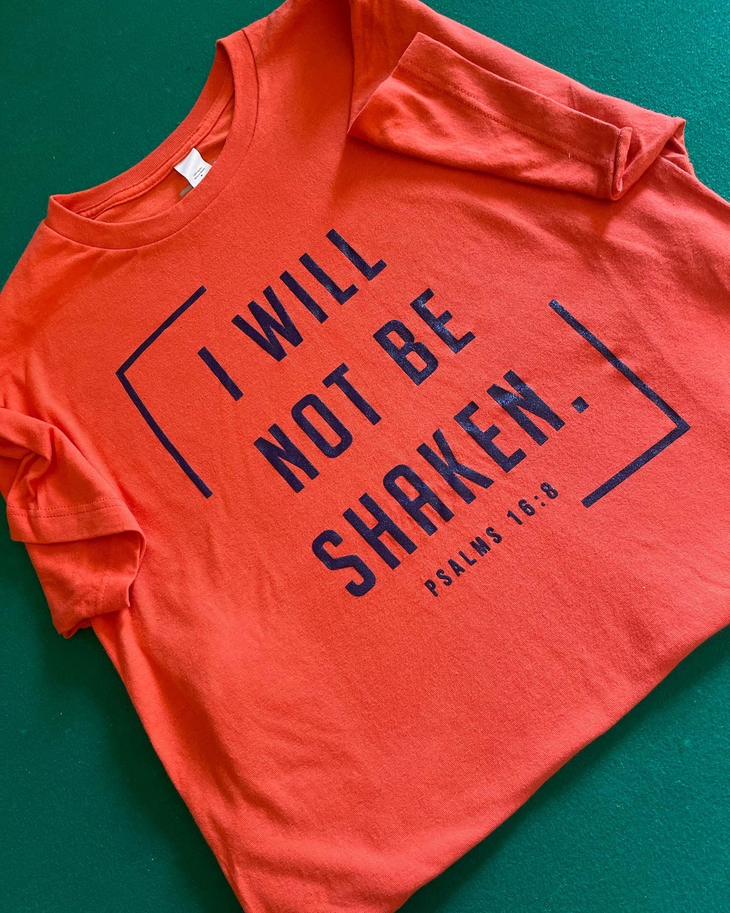 I will not be Shaken Tees.