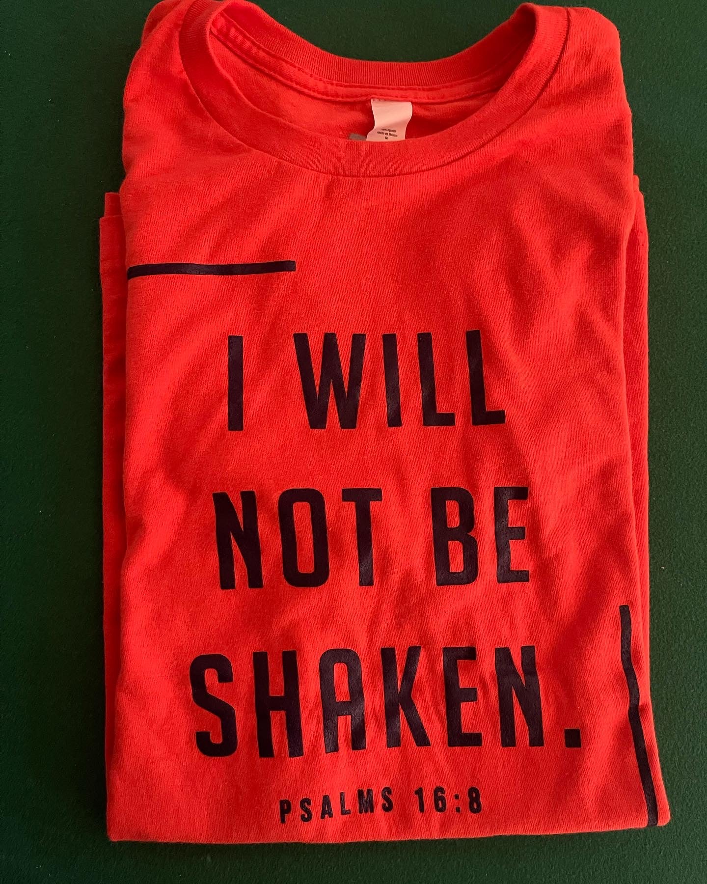 I will not be Shaken Tees.